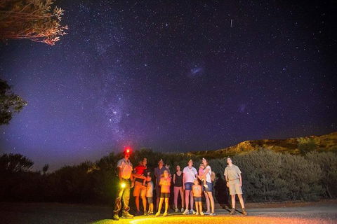 Alice Springs Desert Park Nocturnal Tour - Accommodation Rockhampton 1
