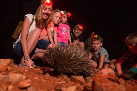 Alice Springs Desert Park Nocturnal Tour - Accommodation Rockhampton 5