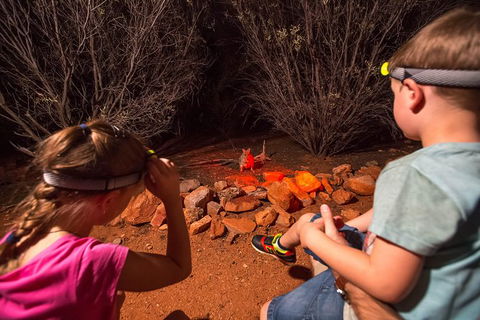 Alice Springs Desert Park Nocturnal Tour - Accommodation Rockhampton 3
