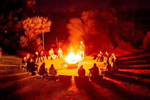3-Day Red Centre Camping Safari From Alice Springs Or Ayers Rock Including Kings Canyon - Accommodation Rockhampton 1