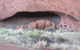 Full Uluru Base Walk At Sunrise Including Breakfast - thumb 5