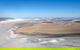 Scenic Flight: Lizard Safari - thumb 0