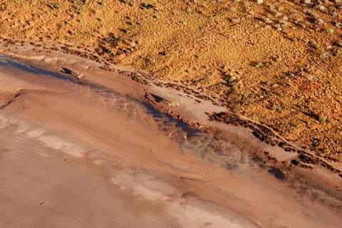 Scenic Flight: Lizard Safari - Accommodation Rockhampton 1