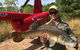 HeliFish Tours From Darwin - thumb 1