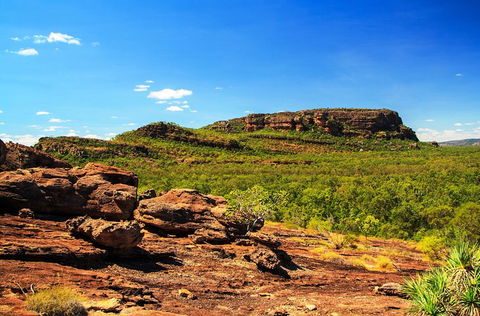 Kakadu, Nourlangie And Yellow Waters Tour From Darwin - Accommodation Rockhampton 34