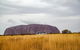 Coach Transfer From Ayers Rock To Kings Canyon - thumb 4