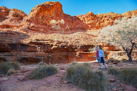 Coach Transfer From Ayers Rock To Kings Canyon - Accommodation Rockhampton 7