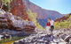 5-Day 4WD Journey From Alice Springs To Ayers Rock - thumb 1
