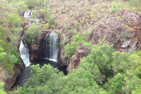 Litchfield National Park And Jumping Crocodile Cruise - Accommodation Rockhampton 1