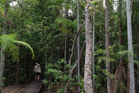 Litchfield National Park And Jumping Crocodile Cruise - Accommodation Rockhampton 5