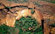 Kings Canyon Helicopter Tour - thumb 1