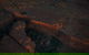 Kings Canyon Helicopter Tour - thumb 5