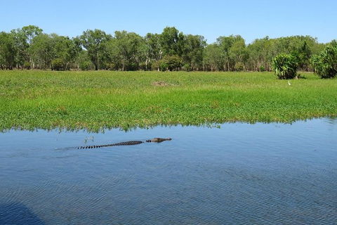 Darwin To Kakadu Day Trip By Air Including Yellow Water Cruise - Accommodation Rockhampton 8