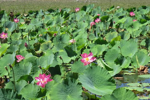 Darwin To Kakadu Day Trip By Air Including Yellow Water Cruise - Accommodation Rockhampton 10