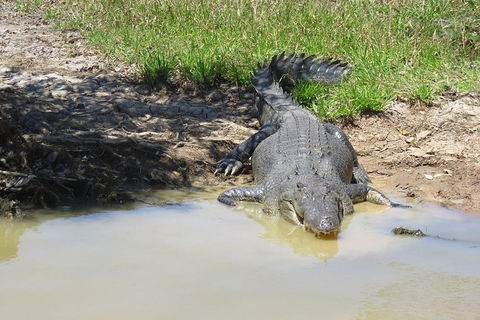 Darwin To Kakadu Day Trip By Air Including Yellow Water Cruise - Accommodation Rockhampton 5