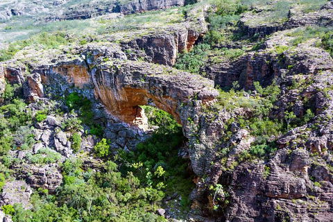 Darwin To Kakadu Day Trip By Air Including Yellow Water Cruise - Accommodation Rockhampton 13