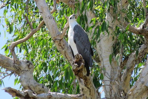 Darwin To Kakadu Day Trip By Air Including Yellow Water Cruise - Accommodation Rockhampton 6