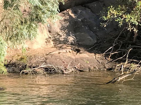 Nitmiluk (Katherine) Gorge 3.5-Hour Sunset Dinner Boat Tour - Accommodation Rockhampton 4
