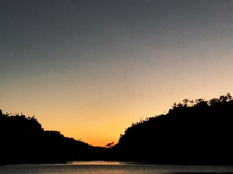 Nitmiluk (Katherine) Gorge 3.5-Hour Sunset Dinner Boat Tour - Accommodation Rockhampton 9