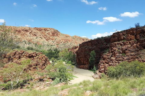 East MacDonnell Ranges 1 Day 4WD Tour - Accommodation Rockhampton 0