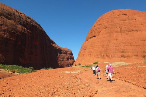 Overnight Uluru (Ayers Rock) Small-Group Camping Tour - Accommodation Rockhampton 6