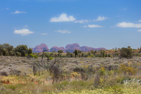 Overnight Uluru (Ayers Rock) Small-Group Camping Tour - Accommodation Rockhampton 15