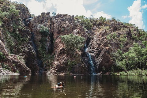 Litchfield National Park Day Tour From Darwin With Waterfalls And Buley Rockhole - Accommodation Rockhampton 13
