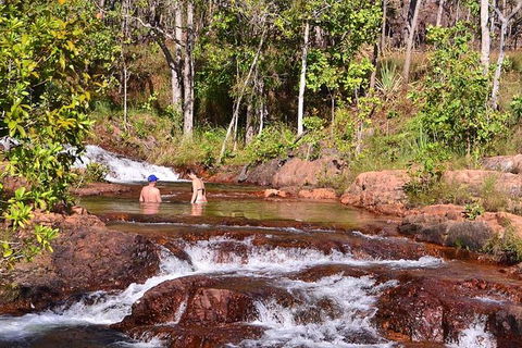 Litchfield National Park Day Tour From Darwin With Waterfalls And Buley Rockhole - Accommodation Rockhampton 12