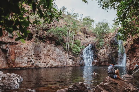Litchfield National Park Day Tour From Darwin With Waterfalls And Buley Rockhole - Accommodation Rockhampton 10