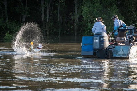 Freshwater Or Saltwater Barramundi Fishing Day Trip From Darwin - Accommodation Rockhampton 7