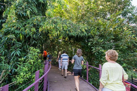 Walk The Darwin Botanic Gardens - Accommodation Rockhampton 3