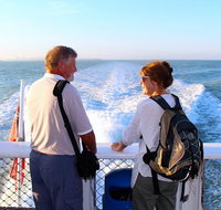 Darwin Harbour Sightseeing Cruise - Accommodation Rockhampton