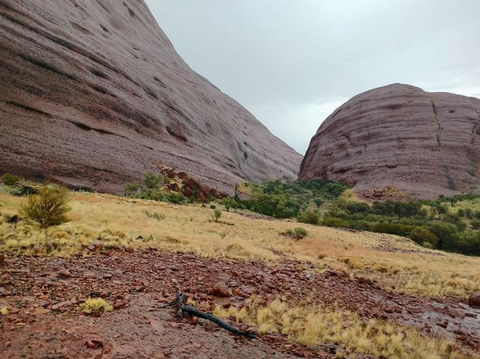 3-Day Ayers Rock To Alice Springs Camping Tour Including Kings Canyon, Kata Tjuta And Uluru - Accommodation Rockhampton 4