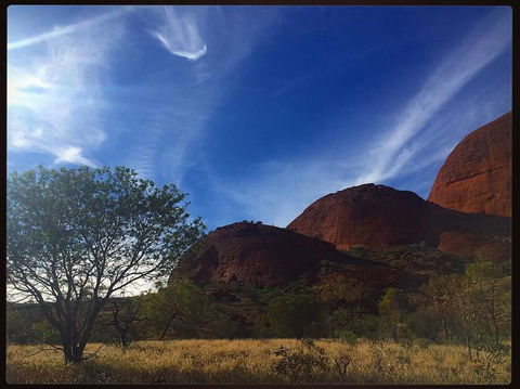 3-Day Ayers Rock To Alice Springs Camping Tour Including Kings Canyon, Kata Tjuta And Uluru - Accommodation Rockhampton 14