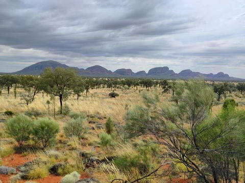 3-Day Ayers Rock To Alice Springs Camping Tour Including Kings Canyon, Kata Tjuta And Uluru - Accommodation Rockhampton 5