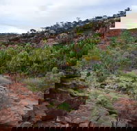 Palm Valley and Hermannsburg 1 Day 4WD Tour - Accommodation Rockhampton