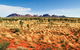 2-Day Uluru (Ayers Rock) And Kata Tjuta Trip From Alice Springs - thumb 9