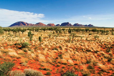 2-Day Uluru (Ayers Rock) And Kata Tjuta Trip From Alice Springs - Accommodation Rockhampton 9