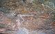 2-Day Kakadu And Arnhem Land Tour From Darwin - thumb 4