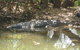 2-Day Kakadu And Arnhem Land Tour From Darwin - thumb 2
