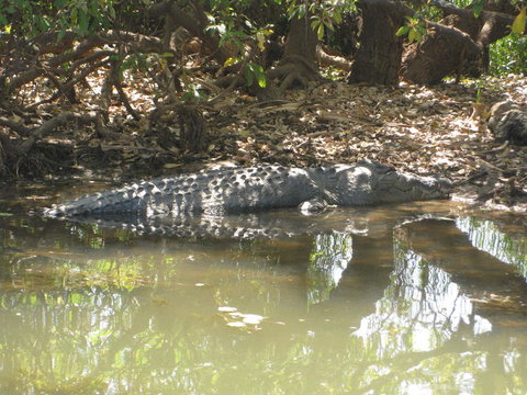 2-Day Kakadu And Arnhem Land Tour From Darwin - Accommodation Rockhampton 2