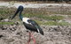 2-Day Kakadu And Arnhem Land Tour From Darwin - thumb 3