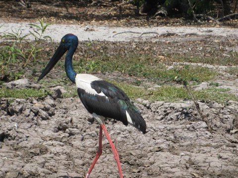 2-Day Kakadu And Arnhem Land Tour From Darwin - Accommodation Rockhampton 3