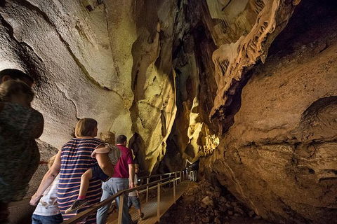 Cutta Cutta Caves Nature Park Guided Tours - Accommodation Rockhampton 2