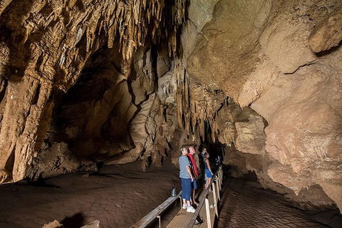 Cutta Cutta Caves Nature Park Guided Tours - Accommodation Rockhampton 3