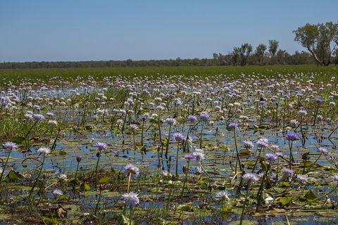 2:30pm Safari Cruise (1.5 Hours) - Accommodation Rockhampton 0