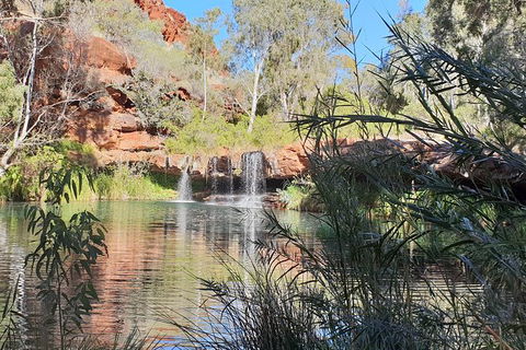 20 Day Darwin To Perth Adventure - Accommodation Rockhampton 10