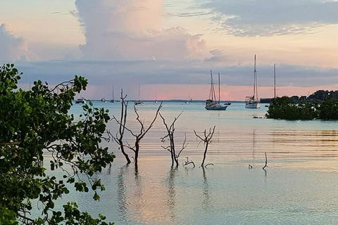 Tropical Light Tropical Bite - Twilight Cruise And CHOW Dinner - Accommodation Rockhampton 7