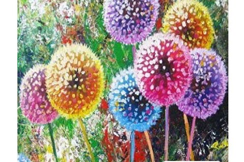 Dandelions - Six Tanks 3.00-5.00pm - Accommodation Rockhampton 0