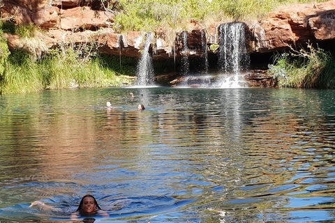 20 Day Darwin To Perth Adventure - Accommodation Rockhampton 6